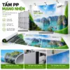 Tấm PP màng nhện - ảnh 6